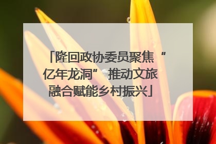 隆回政协委员聚焦“亿年龙洞” 推动文旅融合赋能乡村振兴