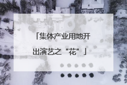 集体产业用地开出演艺之“花”