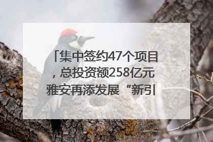 集中签约47个项目，总投资额258亿元 雅安再添发展“新引擎”｜数读西投