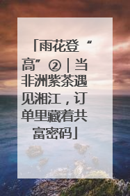 雨花登“高”②｜当非洲紫茶遇见湘江，订单里藏着共富密码