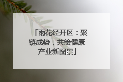 雨花经开区：聚链成势，共绘健康产业新图景