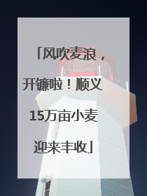 风吹麦浪，开镰啦！顺义15万亩小麦迎来丰收