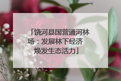 饶河县国营通河林场：发展林下经济 焕发生态活力