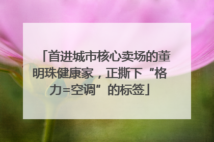 首进城市核心卖场的董明珠健康家，正撕下“格力=空调”的标签