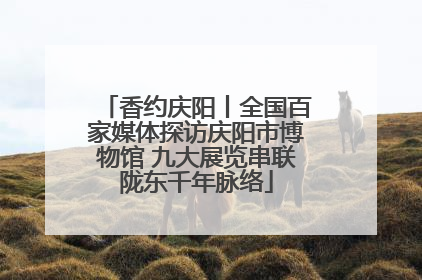 香约庆阳丨全国百家媒体探访庆阳市博物馆 九大展览串联陇东千年脉络