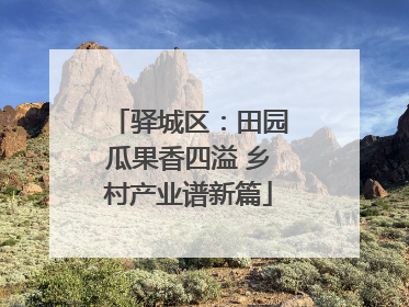 驿城区：田园瓜果香四溢 乡村产业谱新篇