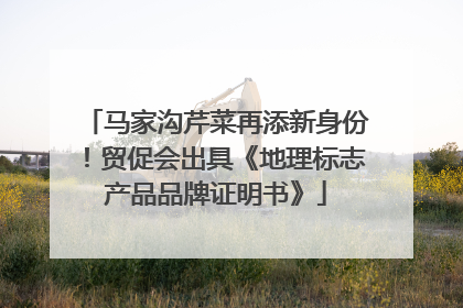 马家沟芹菜再添新身份！贸促会出具《地理标志产品品牌证明书》