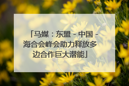 马媒：东盟－中国－海合会峰会助力释放多边合作巨大潜能