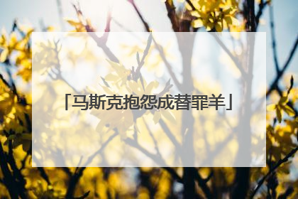 马斯克抱怨成替罪羊