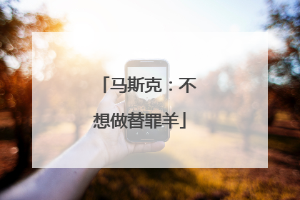 马斯克：不想做替罪羊