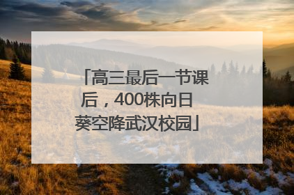 高三最后一节课后，400株向日葵空降武汉校园