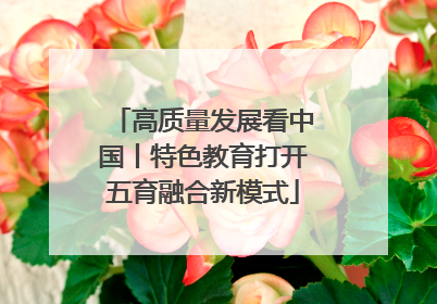 高质量发展看中国丨特色教育打开五育融合新模式