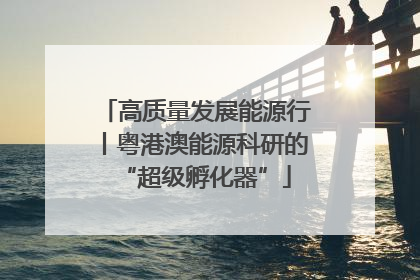 高质量发展能源行丨粤港澳能源科研的“超级孵化器”