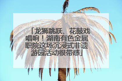 龙狮跳跃、花鼓戏唱响！湖南有色金属职院这场沉浸式非遗游园活动很带感