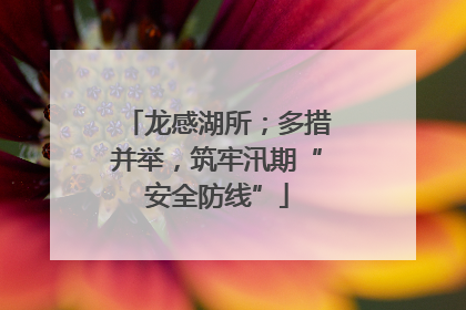龙感湖所；多措并举，筑牢汛期“安全防线”