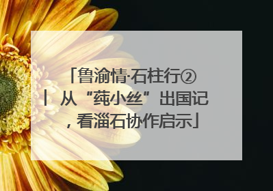 鲁渝情·石柱行② ︳从“莼小丝”出国记，看淄石协作启示