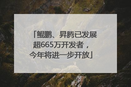 鲲鹏、昇腾已发展超665万开发者，今年将进一步开放