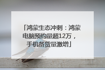 鸿蒙生态冲刺：鸿蒙电脑预约量超12万，手机备货量激增