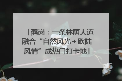 鹤岗：一条林荫大道融合“自然风光＋欧陆风情”成热门打卡地
