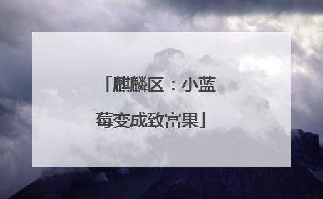 麒麟区：小蓝莓变成致富果
