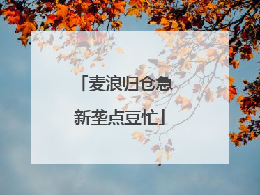 麦浪归仓急 新垄点豆忙