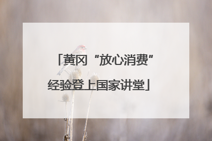 黄冈“放心消费”经验登上国家讲堂
