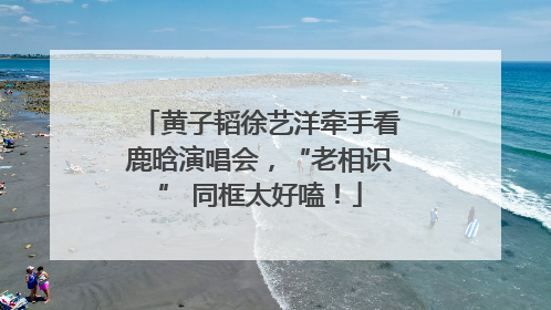 黄子韬徐艺洋牵手看鹿晗演唱会，“老相识” 同框太好嗑！