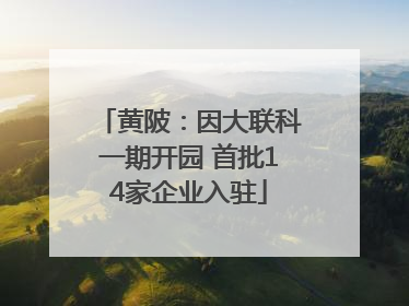 黄陂：因大联科一期开园 首批14家企业入驻