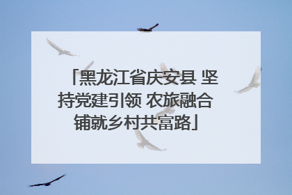 黑龙江省庆安县 坚持党建引领 农旅融合铺就乡村共富路