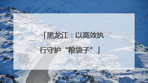 黑龙江：以高效执行守护“粮袋子”