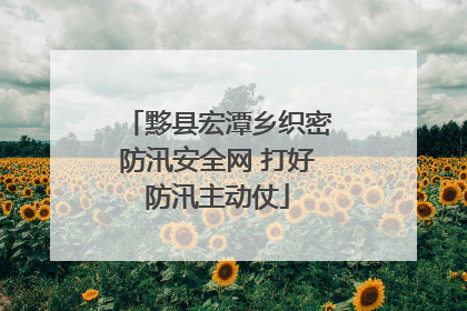 黟县宏潭乡织密防汛安全网 打好防汛主动仗