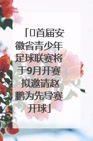 ﻿首届安徽省青少年足球联赛将于9月开赛 拟邀请赵鹏为先导赛开球