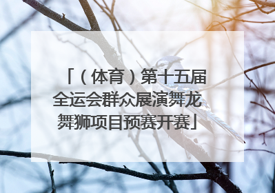 （体育）第十五届全运会群众展演舞龙舞狮项目预赛开赛