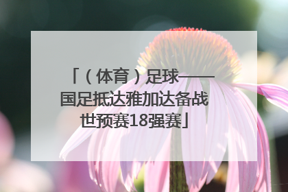 （体育）足球——国足抵达雅加达备战世预赛18强赛