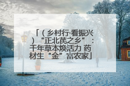 （乡村行·看振兴）“正北芪之乡”：千年草本焕活力 药材生“金”富农家