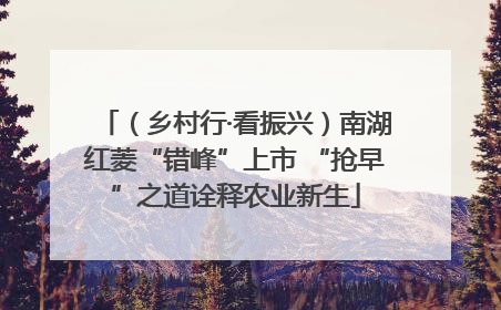 （乡村行·看振兴）南湖红菱“错峰”上市 “抢早”之道诠释农业新生