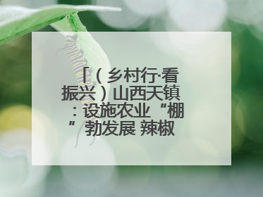 （乡村行·看振兴）山西天镇：设施农业“棚”勃发展 辣椒产业蓄势待发