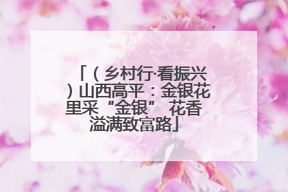 （乡村行·看振兴）山西高平：金银花里采“金银” 花香溢满致富路