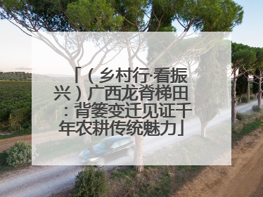 （乡村行·看振兴）广西龙脊梯田：背篓变迁见证千年农耕传统魅力
