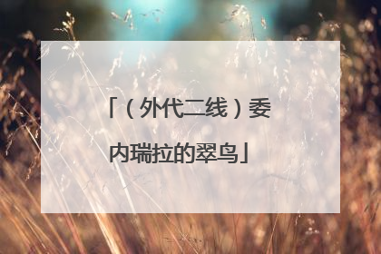 （外代二线）委内瑞拉的翠鸟