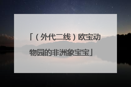 （外代二线）欧宝动物园的非洲象宝宝