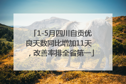 1-5月四川自贡优良天数同比增加11天，改善率排全省第一