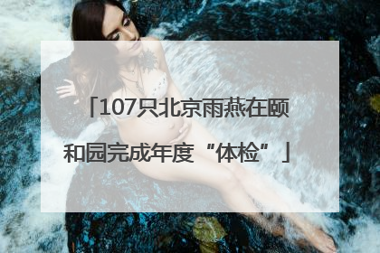 107只北京雨燕在颐和园完成年度“体检”