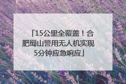 15公里全覆盖！合肥蜀山警用无人机实现5分钟应急响应