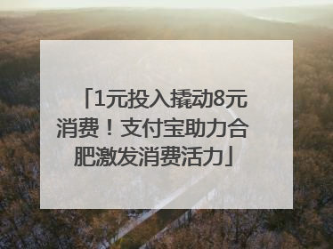 1元投入撬动8元消费！支付宝助力合肥激发消费活力