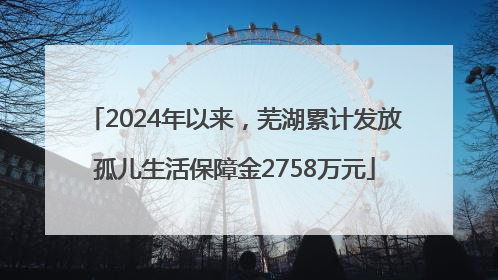 2024年以来，芜湖累计发放孤儿生活保障金2758万元