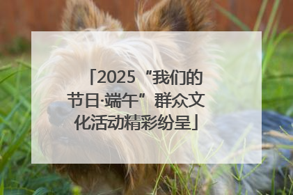 2025“我们的节日·端午”群众文化活动精彩纷呈