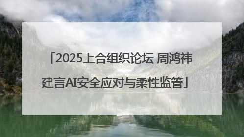 2025上合组织论坛 周鸿祎建言AI安全应对与柔性监管