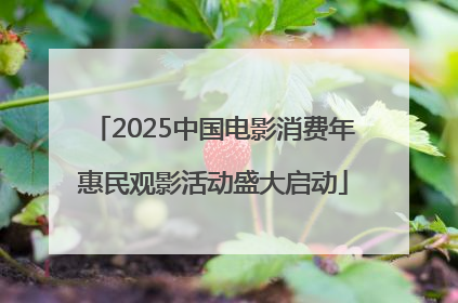 2025中国电影消费年惠民观影活动盛大启动