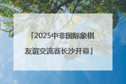 2025中非国际象棋友谊交流赛长沙开幕